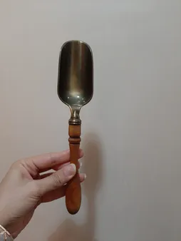 قاشق آجیل خوری مدل تیونا