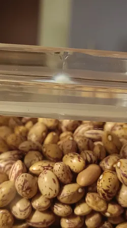 بانکه لیمون مدل رویال 2 کد 1945