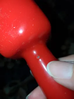 دمبل رکورد مدل V-H وزن 1 کیلو گرمی بسته 2 عددی