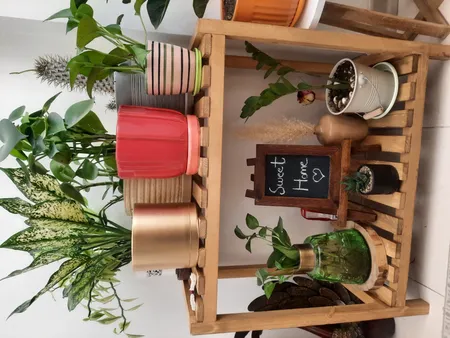 استند گلدان مدل 65