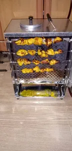 تجریه خرید کباب پز دادلیسان مدل 2021