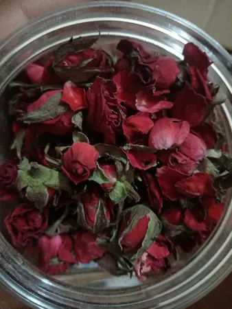 غنچه گل رز خشک مدل sanaz