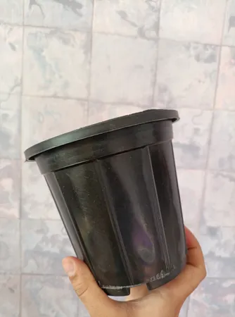 گلدان کشاورزی مدل GS-03 مجموعه 6 عددی