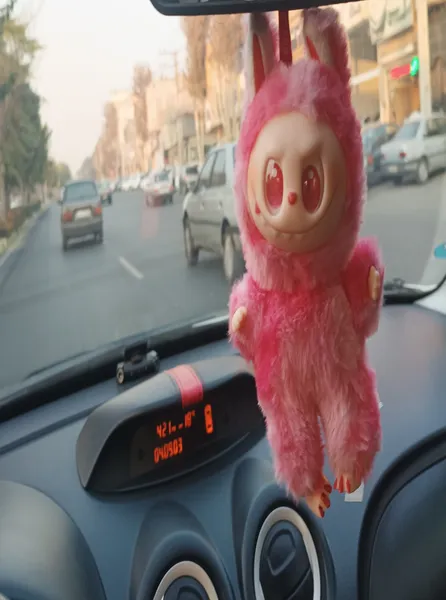 عکس ارسالی خریدار