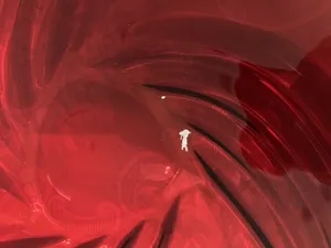 تجریه خرید میوه خوری گلاسگو مدل نوبلیس کد 0308