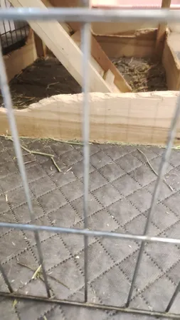 زیر انداز سفری دو نفره مدل  ترنج