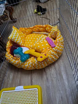 جای خواب سگ و گربه مدل mypet367