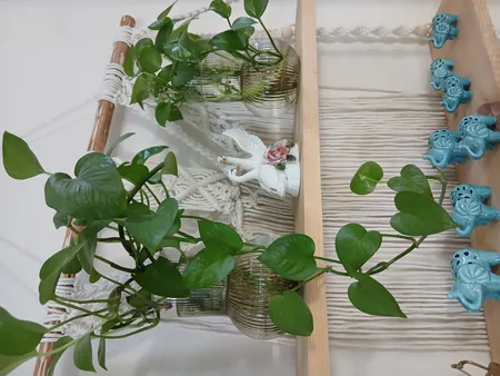 گلدان دکوری مدل شیشه ای دنیز