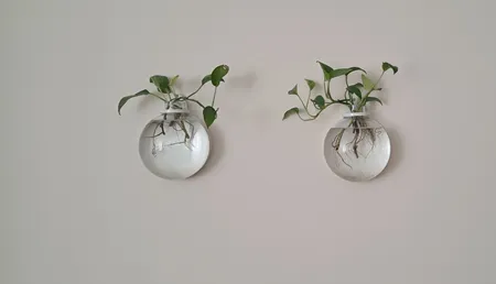 گلدان دکوری مدل دیواری شیشه ای مجموعه 2 عددی