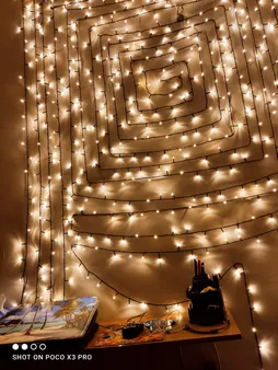 ریسه ال ای دی روژ کد  به طول 25 متر