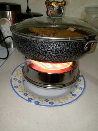 هیتر برقی مدل P750