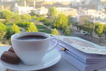 ست فنجان نعلبکی 12 پارچه چینی زرین مدل سوئدی درجه 3