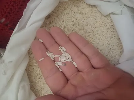 برنج هاشمی فوق اعلا مهمان نواز - 10 کیلوگرم