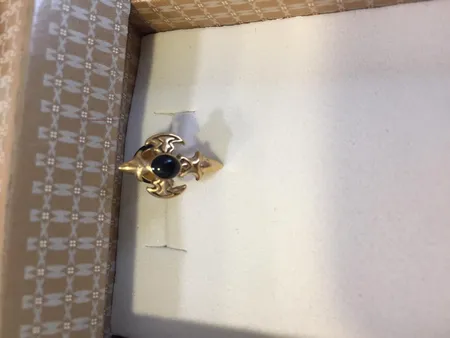 پیرسینگ گوش کد PS173