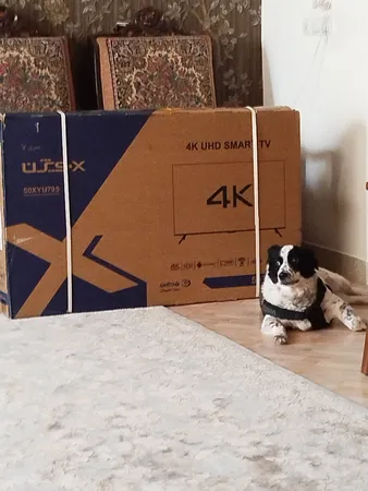 تلویزیون ال ای دی هوشمند ایکس ویژن مدل 50XYU795 سایز 50 اینچ