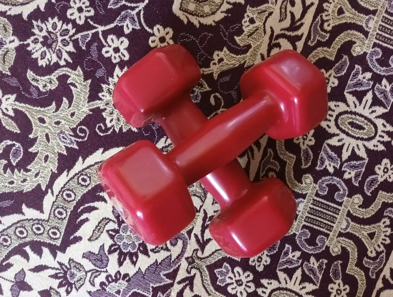 دمبل وزنه پویا مدل روکش دار وزن 2 کیلوگرم بسته 2 عددی