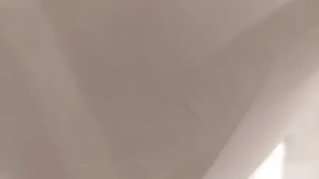 ظرف برنج یونیک کد 4470