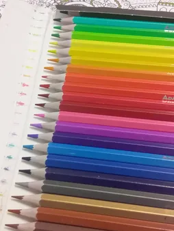 مداد رنگی 24 رنگ آدمیرال مدل Bird