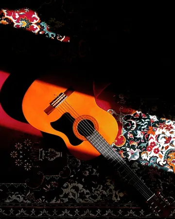 گلپیدور گیتار مدل B050