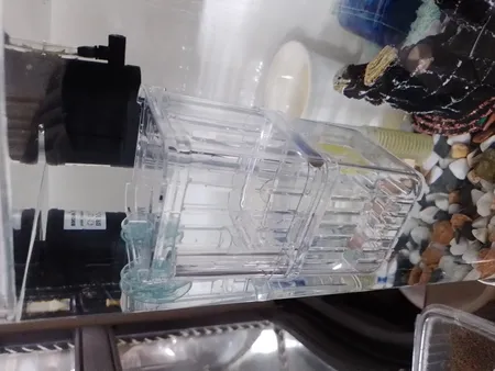 زایشگاه ماهی رویال مدل sn_113