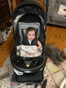 تجریه خرید کالسکه مدل ورسا کد 100