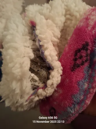 پاپوش زنانه مدل دوبرا یلدا بسته 2 عددی