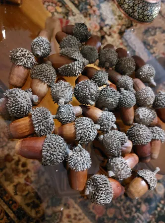 میوه تزیینی مدل بلوط بسته 10 عددی