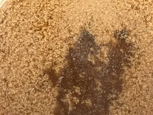 تجریه خرید کریمر غیر لبنی بدون شکر با طعم نارگیل پپتینا - 300 گرم