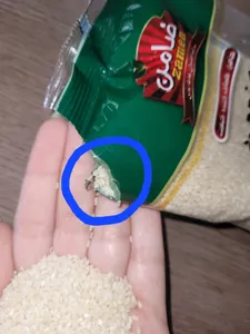 تجریه خرید کنجد سفید ضامن - 250 گرم