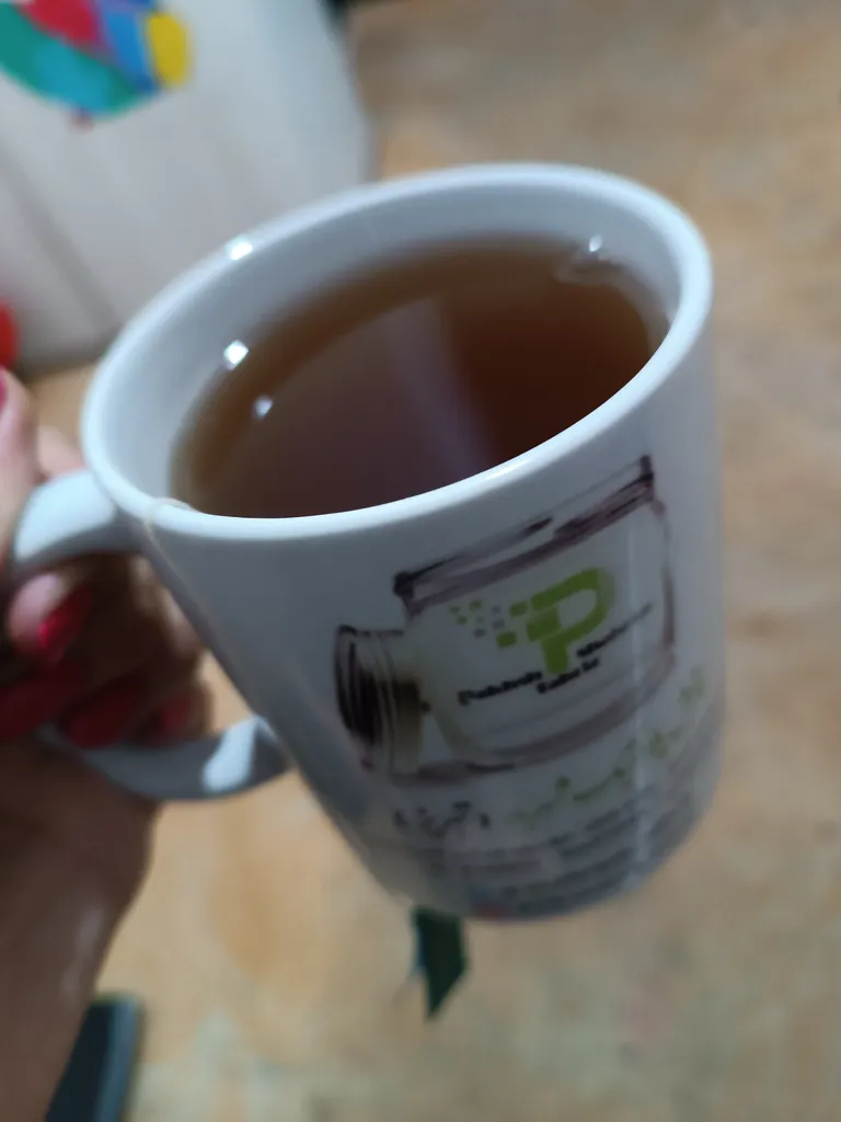 چای سبز دارچین کیسه ای سناتور بسته 25 عددی