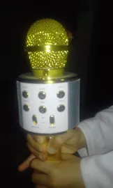 میکروفون اسپیکر مدل WS-858