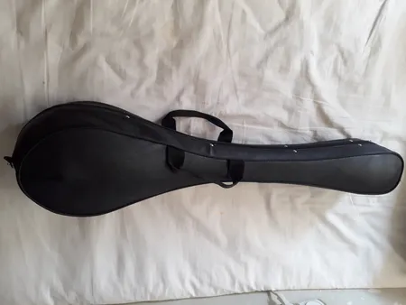 هارد کیس سه تار مدل 001