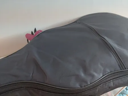 سافت کیس گیتار مدل G602