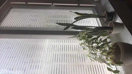 شیشه مات کن طرح کرکره ای کد 1012