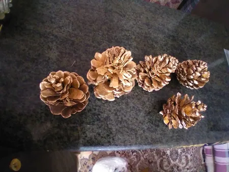 میوه تزیینی کاج مدل 121111مجموعه 5 عددی