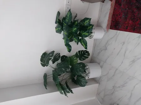 درختچه مصنوعی مدل انجیری PAL-24 BARG