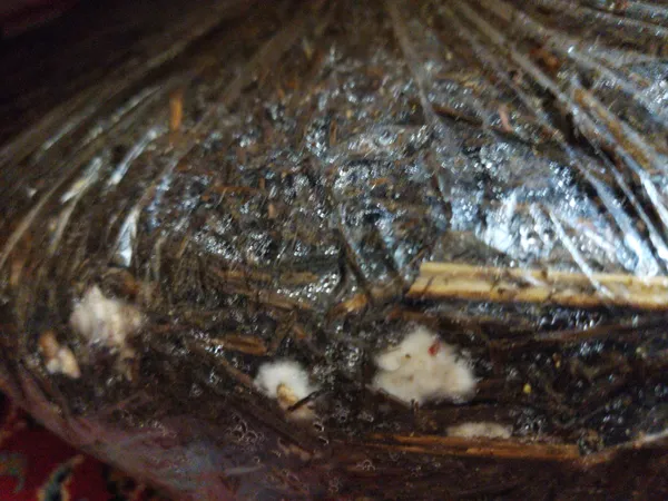 عکس ارسالی خریدار