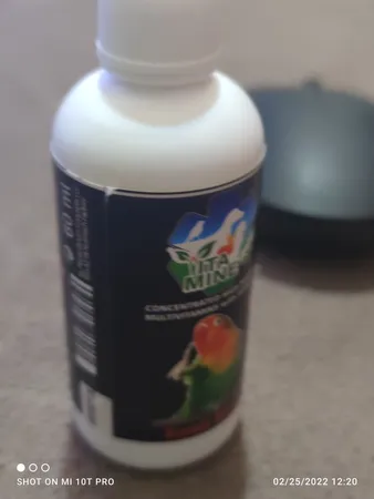 محلول مولتی ویتامین پرندگان کوچک ویتاماین مدل SMLBRD حجم 60 میلی لیتر