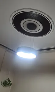 تجریه خرید لوستر پادینا مدل مدرن  کد ringo40