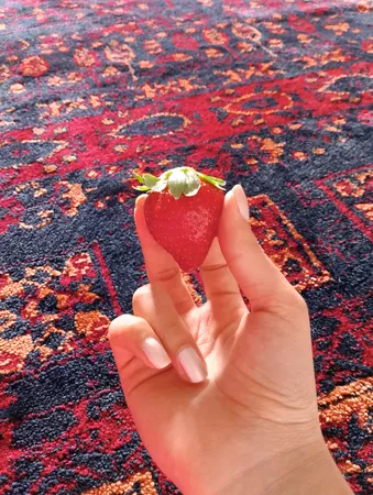 فرش ماشینی دنیای فرش مدل روشنک سنتی کد 1510