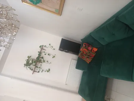 شلف دیواری مدل پوشاننده جعبه فیوز