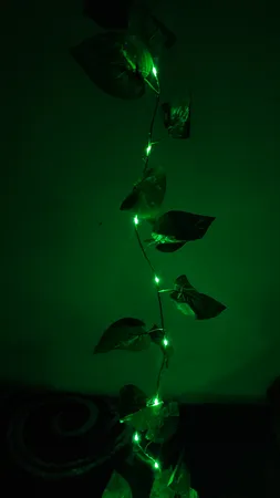 ریسه ال ای دی طرح برگ پتوس طول 2 متر