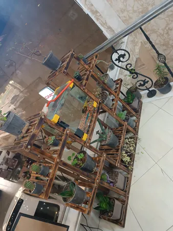 استند گل و گلدان مدل gol6