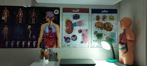 تجریه خرید پوستر آموزشی انتشارات اندیشه کهن مدل کالبدشناسی کلیه کد 35-50-9