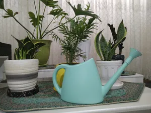 تجریه خرید آبپاش شهرآذین مدل 9020 ظرفیت 2 لیتر