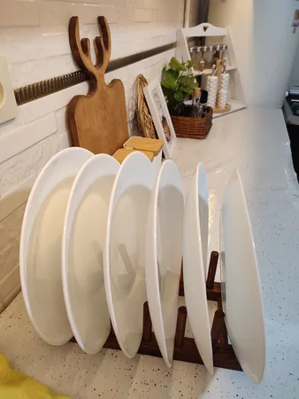 استند بشقاب مدل stb101