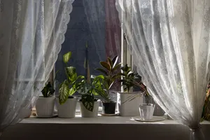 تجریه خرید مجموعه‌ ی دو عددی پرده توری ایکیا مدل Alvine