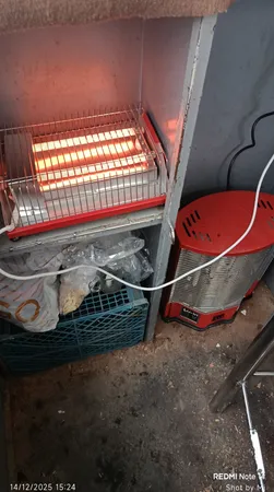 کرسی برقی ناسیونال مدل s2h