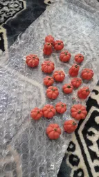 میوه تزیینی مدل کدو تنبل کد 716 مجموعه 20 عددی