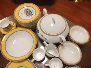 تجریه خرید سرویس چینی 102 پارچه غذا خوری چینی زرین ایران سری ایتالیا اف مدل ویلیج درجه یک